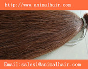 mixed and brown 24''-40''  horse  tail  hair   for  violin  bow hair