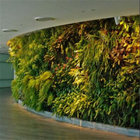 Artificial Plant Wall