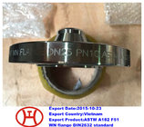 F51 UNS S31803 1.4462 WN SO Blind flange forging disc ring