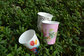 Disposable Paper Cups supplier