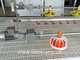 Automatic chicken drinker for poultry farm