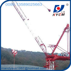 QTD300(6037) Luffing Jib Tower Crane 16t 60m Jib Construction Crane for Buliding