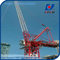 2.2ton Tip Load Luffing Jib Tower Crane Specification for 6 ton Crane in Dubai