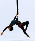 aerial yoga kit bungee cord bungee jumping cord for sale bungee cord resistance training