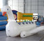 Water Toys Giant Cute Inflatable Floating Goose for Adults and Children