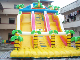 China Outdoor Large Inflatable Dry Slide supplier