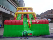 Commercial 0.55mm PVC tarpaulin Double Lane Inflatable Toys Dry Slide for Kids and Adult