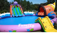Octopus Theme Inflatable Swimming Pool , Inflatable Water Game