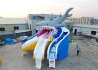 Plato PVC Tarpaulin Giant Shark Theme Inflatable Dry Slide 0.55MM Thickness