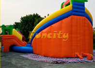 Customized Size Kids Inflatable Giant Water Park Game On Land With Long Crocodile