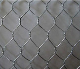 Galvanized Steel Woven Stucco Hexagonal Wire Netting Suppliers