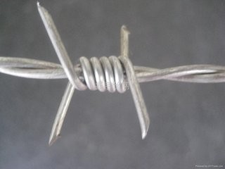 hot sale Barbed wire length per roll /barbed wire fence/barbed wire