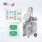 4 handles cryolipolysis slimming machine professional fat freezing cryolipolysis fat removal beauty equipment for sale