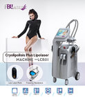 Cryolipolysis Lipo Laser Slimming /Freezing Liposuction Machine for sale