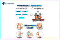 Beauty Equipments  Fat Freezing Cryolipolysis Cool Shaping slimming machine