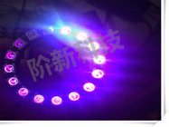 Jercio individually addressable 5050 SMD LED XT1511-W, three white,  made flexible LED strip,can replace WS2812.