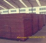 18mm film faced plywood red film marine board Brown Film Faced Plywood for construction