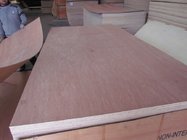 bintangor f/b,hardwood core wbp glue plywood