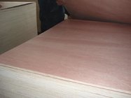 bintangor f/b,hardwood core e1 glue plywood