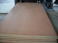 okoume f/b,poplar core melamine glue plywood