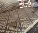 film faced plywood with combi core brown film wbp glue
