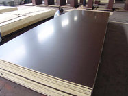 film faced plywood with combi core brown film phenolic glue