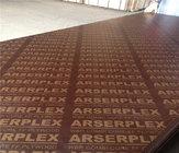 film faced plywood with combi core brown film e2 glue