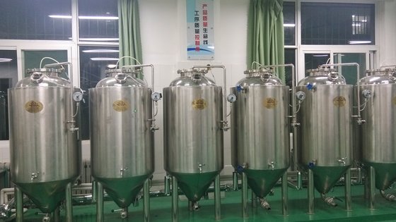 300L electric brewing system of craft beer equipment