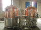 500L beer factory equipment for craft beer brewing IPA Lagar Stout