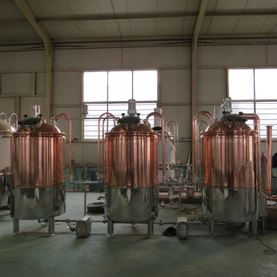 300 L small beer manufacture machine made in China