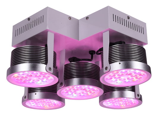 China 185W China supplier fashionable design Full Spectrum led plant lights A+ 3years warranty Meanwell driver supplier