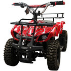 Small beach motorcycle off-road go kart electric powered UTV