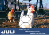 hexagonal poultry wire mesh fencing, chicken wire netting