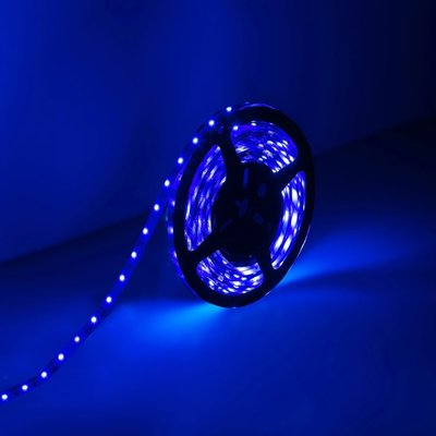 China Blue Flexible LED Strip Lights with 300 Units 3528 LEDs supplier