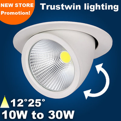China AC85-265V 20W 360 degree Adjustable LED spot downlight  rotatable LED trunk light supplier