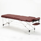 Portable Folding Therapy Massage Bed Adjustable Spa Relax Beauty Salon Massage Table Bed With Carrying Bag