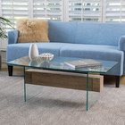 Tempered Glass and Wood Coffee Table