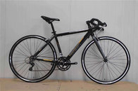Made in China cheap steel 540mm frame 700c thin tube road bicycle/bicicle with Shimano 14 speed