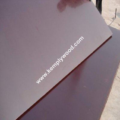 Black and brown film faced plywood , Construction water proof plywood, Phenolic film faced plywood