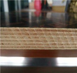Poplar Eucalyptus Hardwood Core Melamine glue Film Faced Plywood for Construction