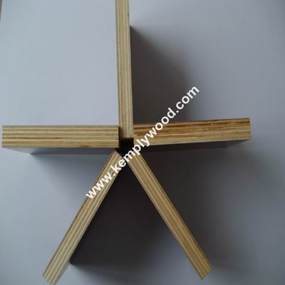 Phenolic Film Faced Plywood 11mm thickness 1220*2440mm, melamine paper faced shuttering plywood