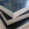 Cheap price film faced plywood shuttering plywood/phenolic film faced plywood /12mm 15mm 18mm laminated plywood