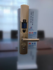 China Delux RF key card villa hotel lock fingerprint door lock supplier