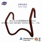 fist clip, fist rail clip, fist clamp, fist fastening system, fist fastener, railway fasteners, railway parts