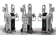 Distributor wanted cellulite reduction 4 cryo handles working same time fat freezing body sculpting machine