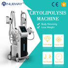 2018 newest -15oC 4 handles cryolipolysis body slimming machine