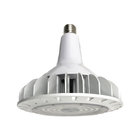 120w LED Retrofit Lamp