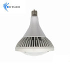 60W LED Retrofit Bulb
