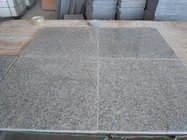 Perfect Quality Hottest Cheapest Grey Granite Polished Surface Chinese G602 Granite