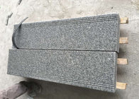 Perfect Quality Hottest Cheapest Grey Granite Polished Surface Chinese G603 Granite
